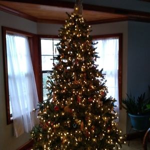 Meet your Posher, Elaine